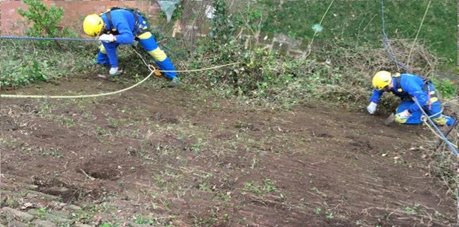 rimozione arbusti EdiliziAcrobatica